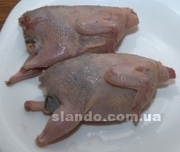 Мясо Куры продам