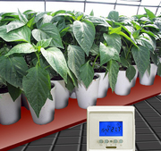 Выращивание рассады. Подогрев грунта. Проращивание семян.