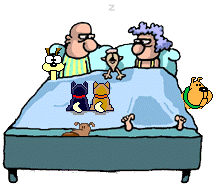 Интернет магазин товары для животных-для Ваших любимцев