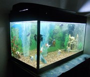 Аквариум 260л