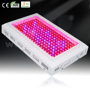 LED—200W/300W/600W освещение для растений, ,