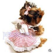 куплю щеночка йоркширского терьера девочку