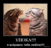 лабродор возьму в подарок или куплю не дорого-харьков