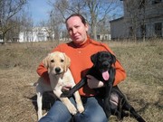 подрощенные щенки девочки-лабрадорчики