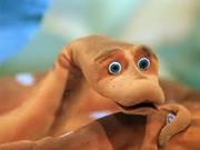 Продам в связи с отъездом пару удавов 