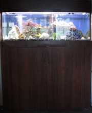 Авкариум 400 л. с рыбками и всем остальным