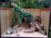 Террариум (террариумы) под заказ