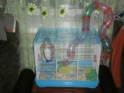 клетка для грызунов