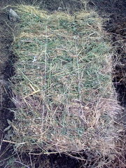 сено тюкованое разнотравие 