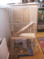 Продам клітку для шиншили