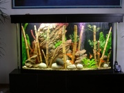 акваріуми-виготовлення,  обслуговування в Киеве