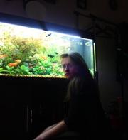 Срочно продам Аквариум