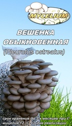 купить мицелий вешенки,  шампиньона недорого   