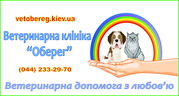 Ветеринарная клиника Оберег,  вызов ветеринара на дом