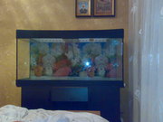 продам аквариум