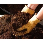 Перегной,  навоз коровий,  доставка.