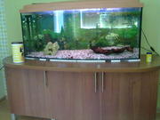 Аквариум со всем оборудованием