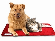 Коврик с подогревом для животных