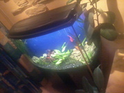 Продам аквариум Донецк 200 литров б/у