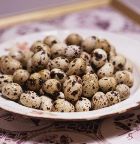 Продам яйцо перепелиное инкубационное Одесса