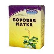 Боровая матка от женских недугов исцелит