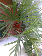 kharkov.freeds.in.ua