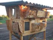 Чертежи кроличьих клеток