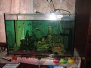 Аквариум на 150 лит