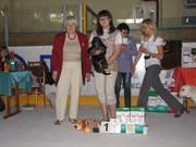 американский кокер спаниель - продам перспективного щенка