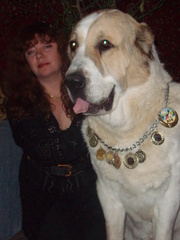 щенки среднеазитской овчарки -