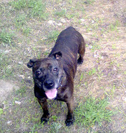 Отдам в хорошие руки стаффа