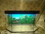 Продам Новый Аквариум