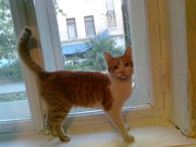 Найдите меня, пожалуйста