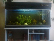 Продам аквариум дёшего!