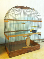 Продам недорого клетку для попугая. Кормушка, подвеска