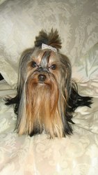 мини детки от мини родителей