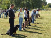 Дрессировка собак декоративных пород