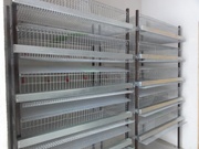 Оборудование для кролиководства, клетки для кроликов в Украине