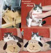 Обаятельный джентльмен Ник…