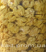 саженцы грецкого ореха