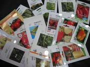 Пакетированые семена оптом