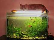 Продам аквариум 110 л СРОЧНО!