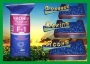 Урожайные семяна подсолнечника от ЧМФ Колос.