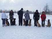 Профессиональная дрессировка собак