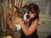 Отдам собаку бесплатно. В хорошие руки