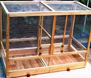 Клетки и вольеры для амадин под заказ. Клетки и вольеры для амадин п