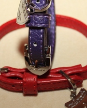 Ошейники для кошек и собак