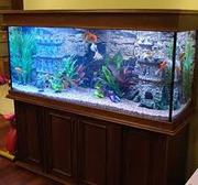 Изготовление аквариума террариума на заказ