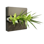 Украшение стен цветами