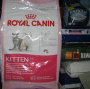 Киттен 36 Роял Канин корм для котят до 12 месяце Kitten 36 Royal Canin